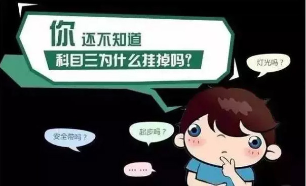 5cd14eb50c200.jpg 2_03.jpg